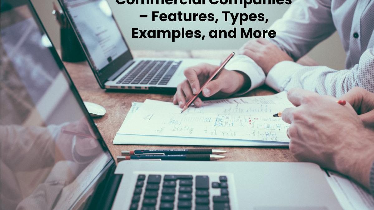 Commercial Companies – Features Types and Examples