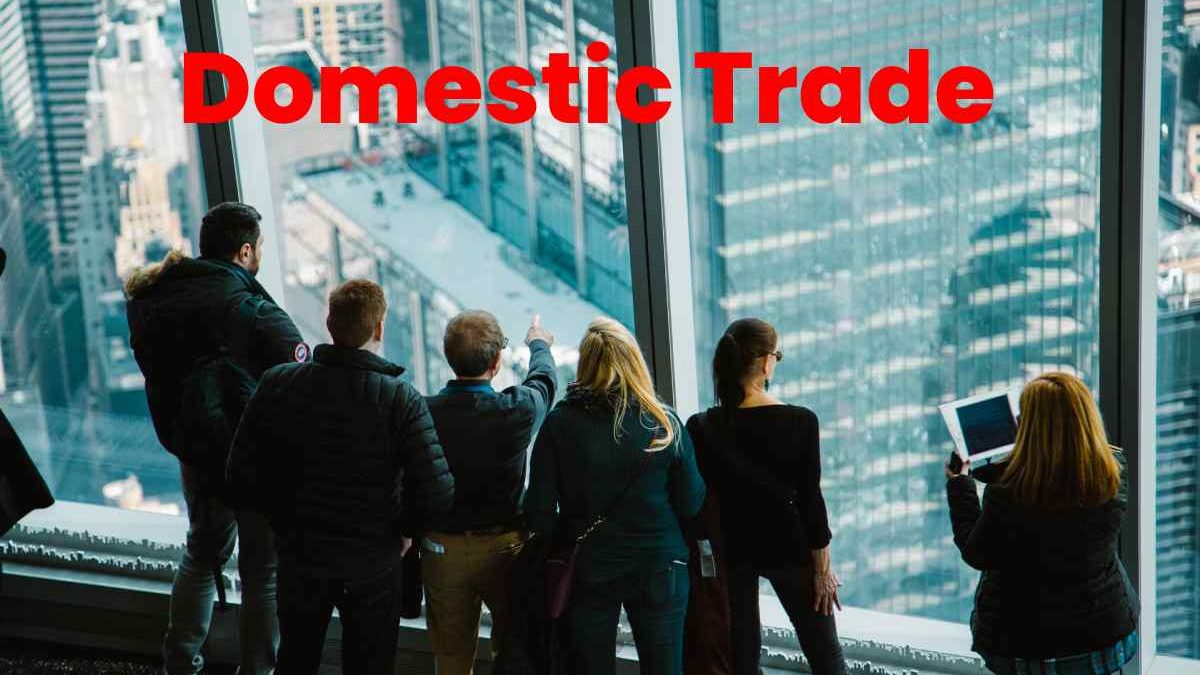 Domestic Trade – About, Types, Differences, and More