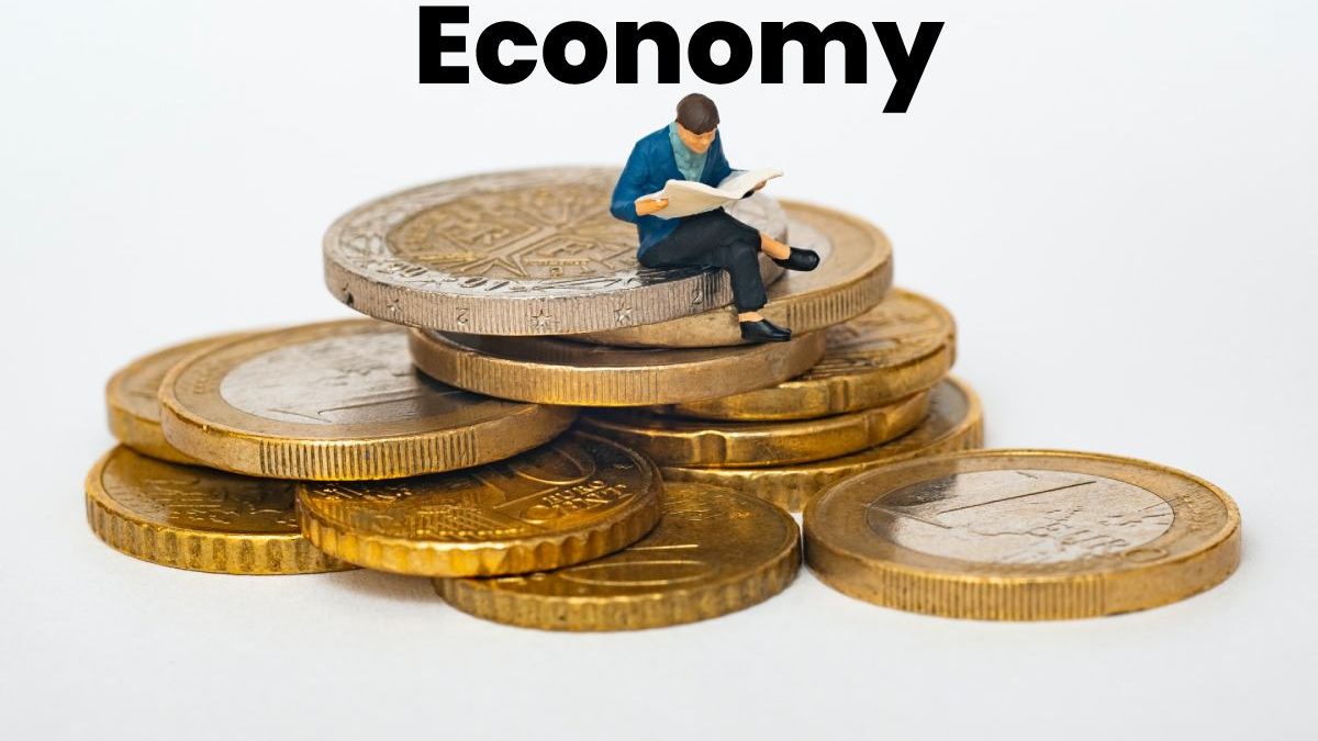 What is the Economy?