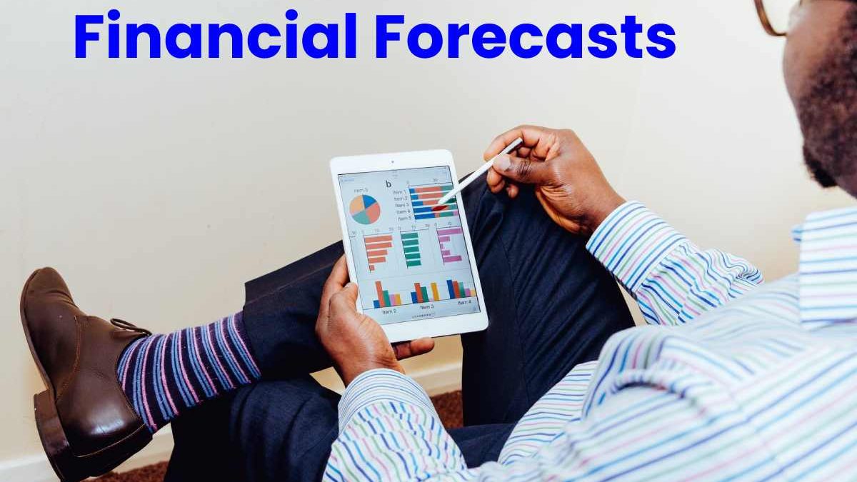 What is Establish Financial Forecasts