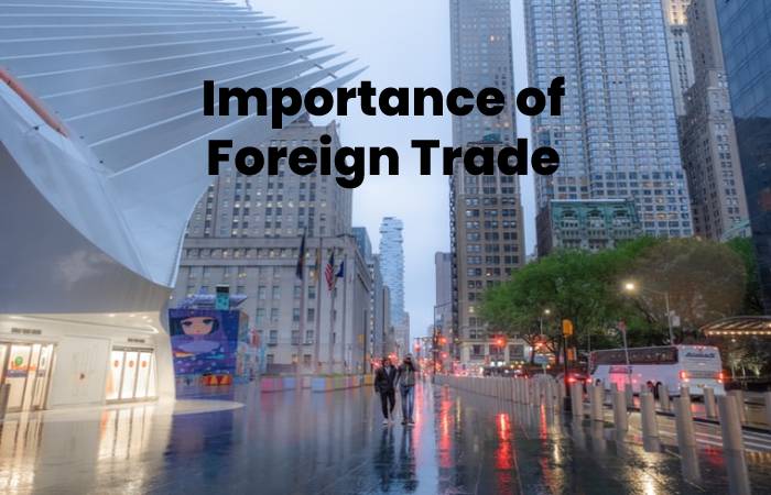 Importance of Foreign Trade - Domestic Trade
