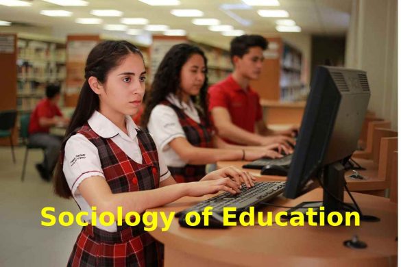 socialization of Education