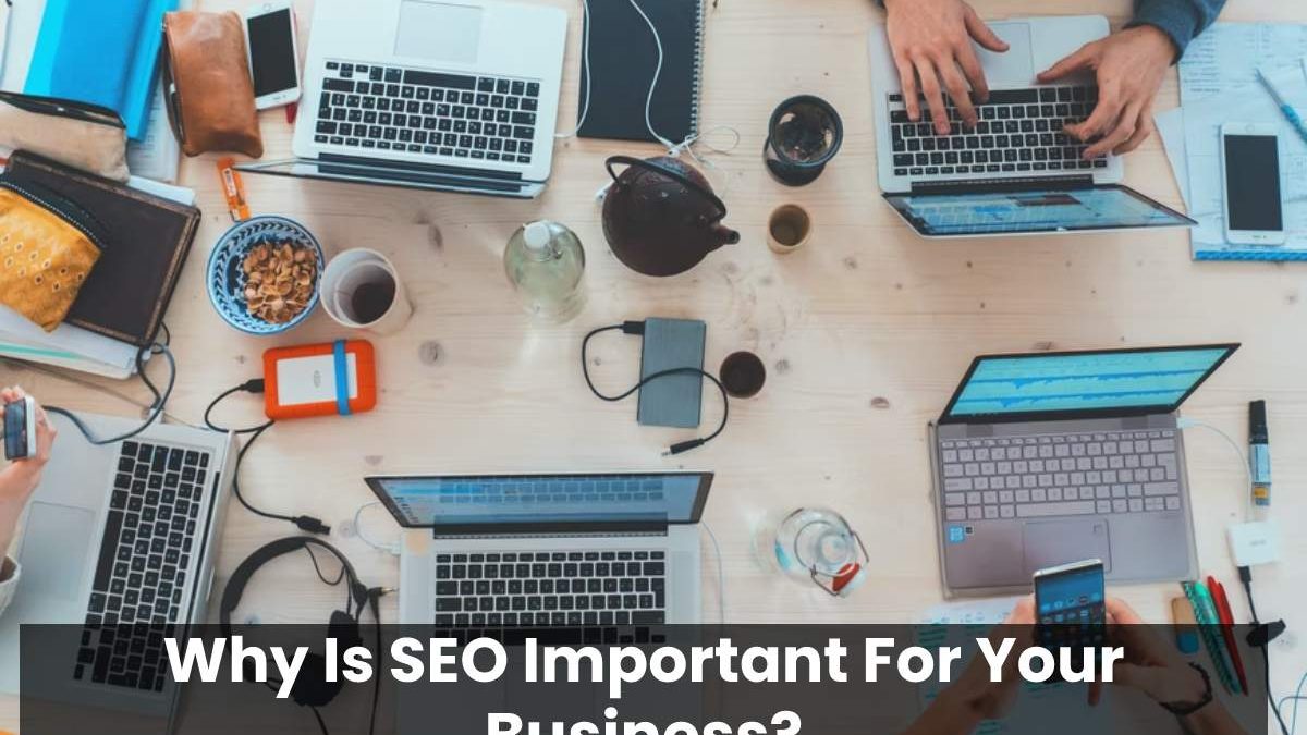 Why Is SEO Important For Your Business?