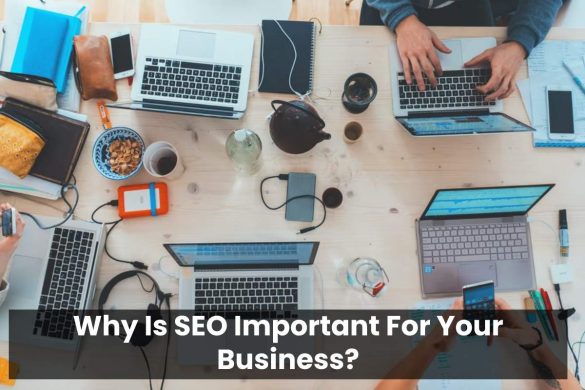 Why Is SEO Important For Your Business?