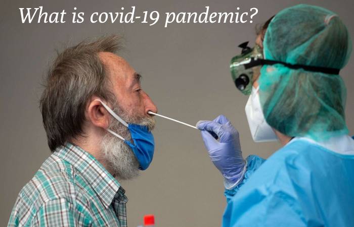What is covid-19 pandemic?