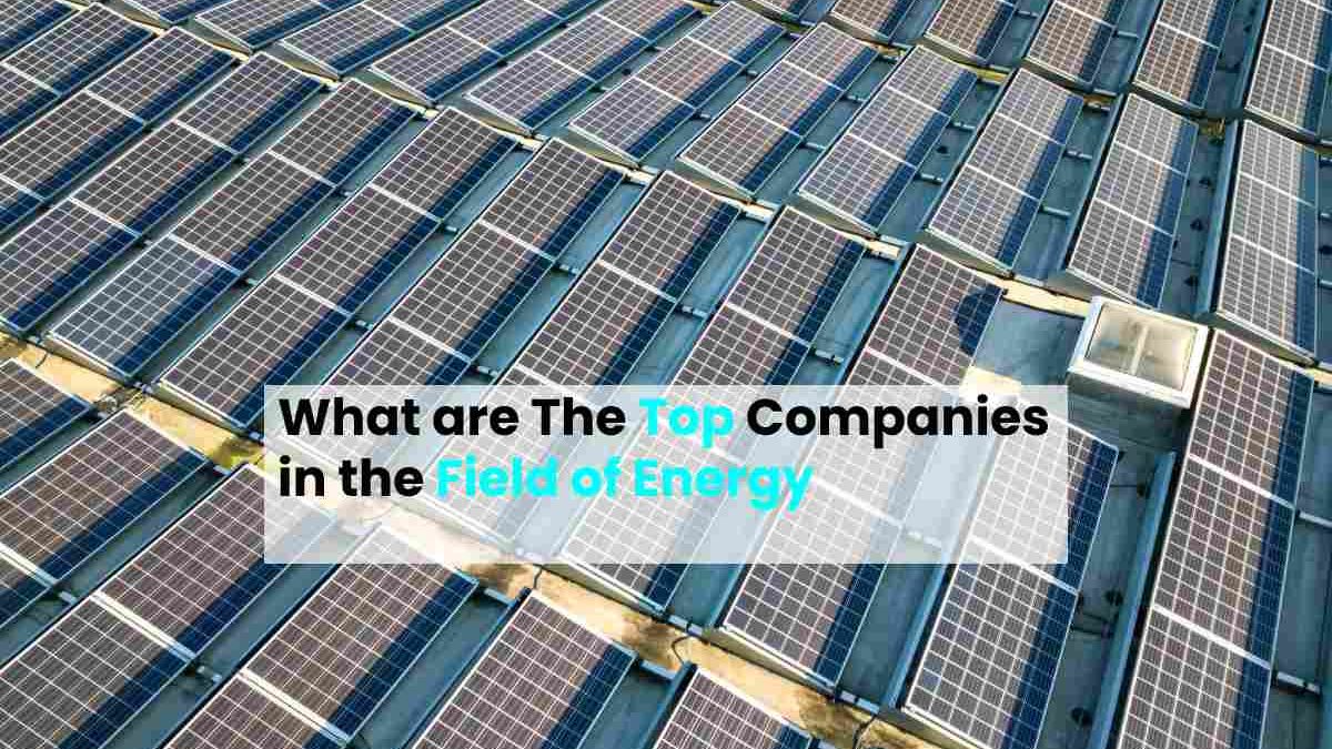 What are The Top Companies in the Field of Energy