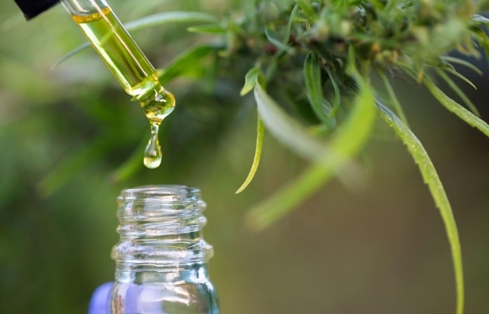 What are the benefits of CBD?