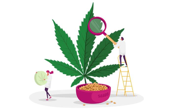 Benefits of CBD Write for Us