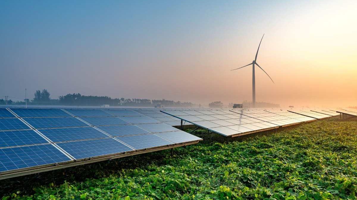 How to invest in renewable energy: a growing market