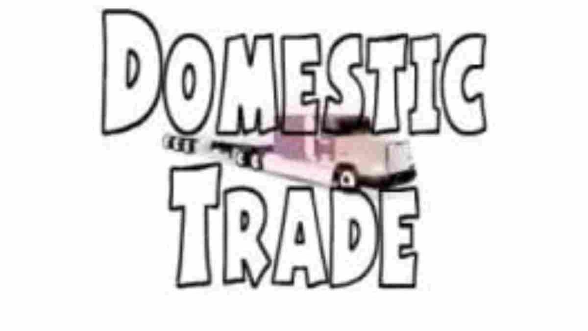 Domestic Trade – About, Types, Differences, and More