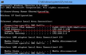 //Net-Internals/#Dns 