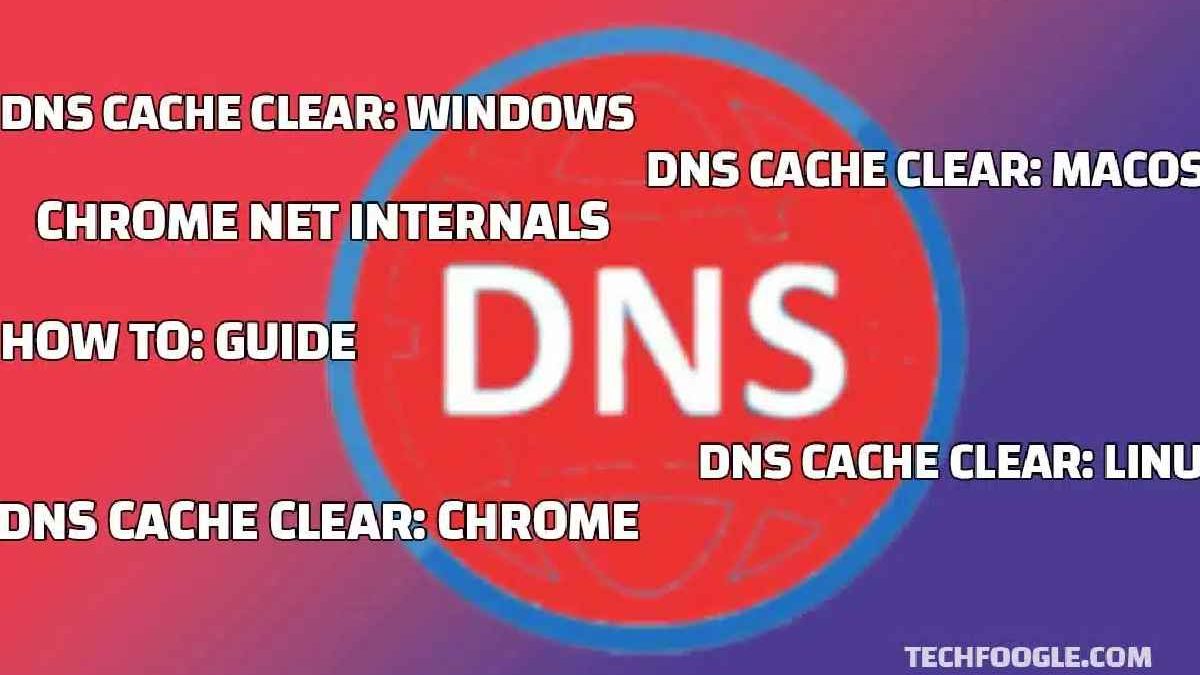 //Net-Internals/#Dns