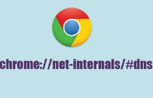 //Net-Internals/#Dns