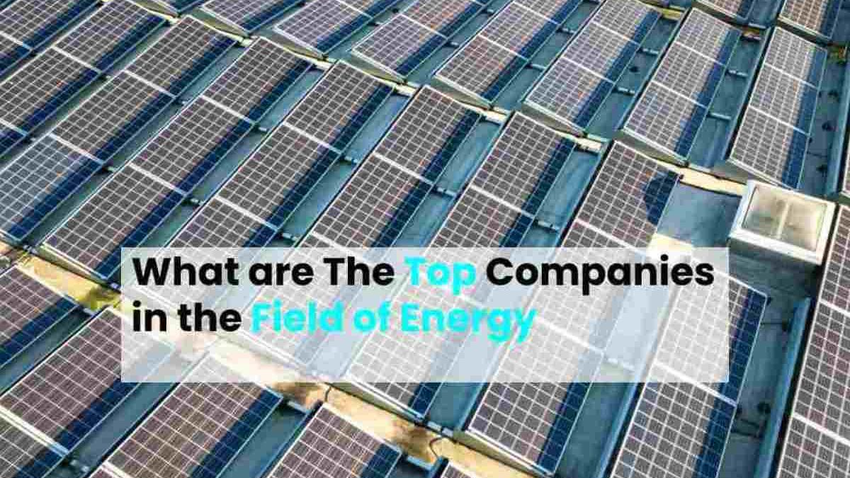 What are The Top Companies in the Field of Energy