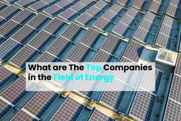 Companies in the Field of Energy