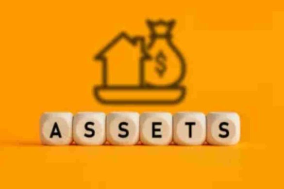 asset